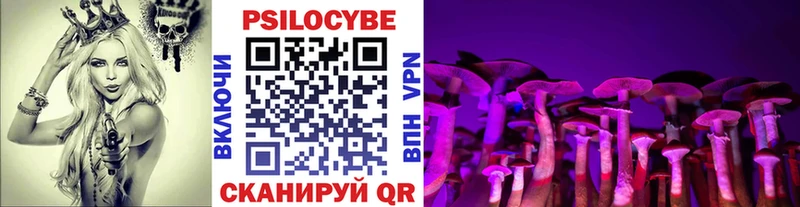 Галлюциногенные грибы Cubensis наркотики блэк спрут ССЫЛКА Отрадное